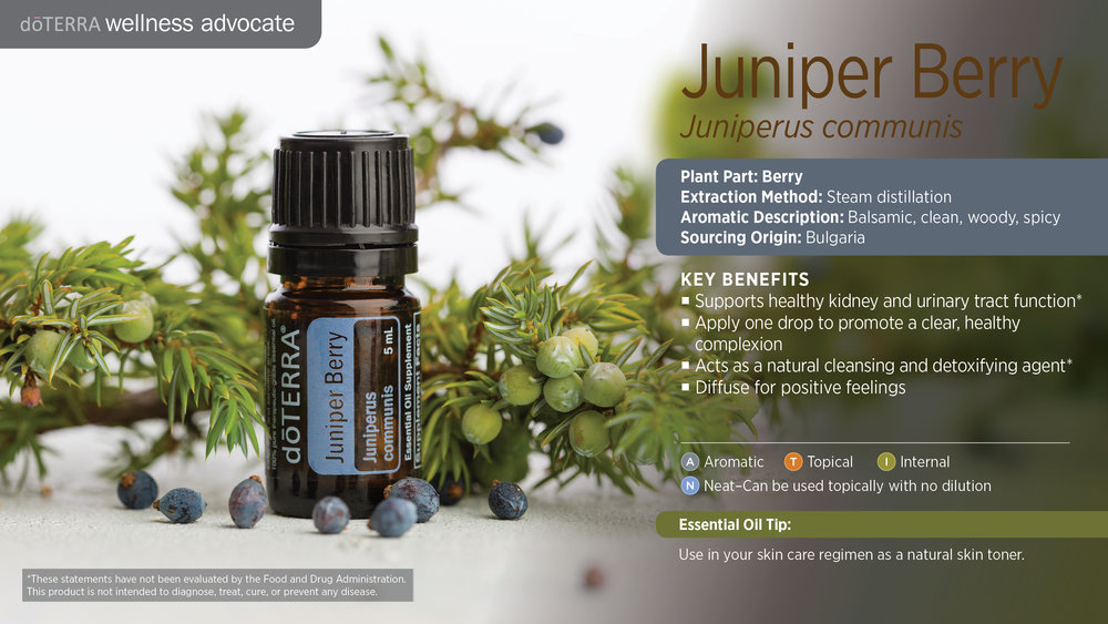 DoTerra Juniper Berry Oil 5mL — Healthy Life Chiropractic